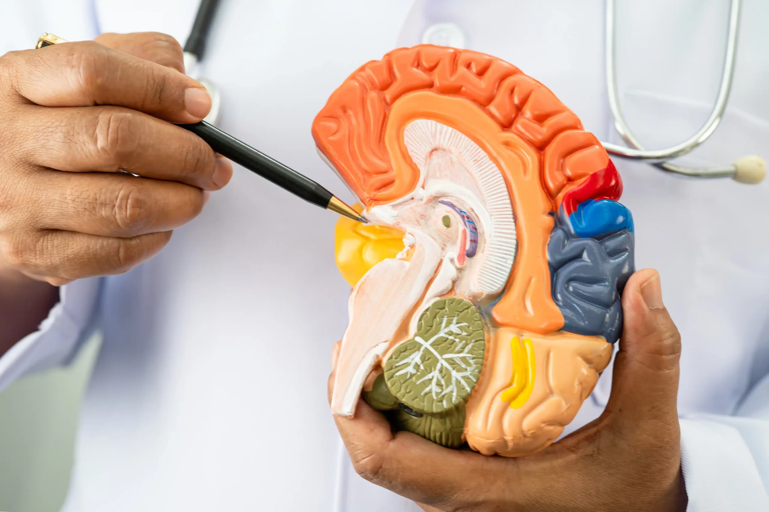 Hydrocephalus Management