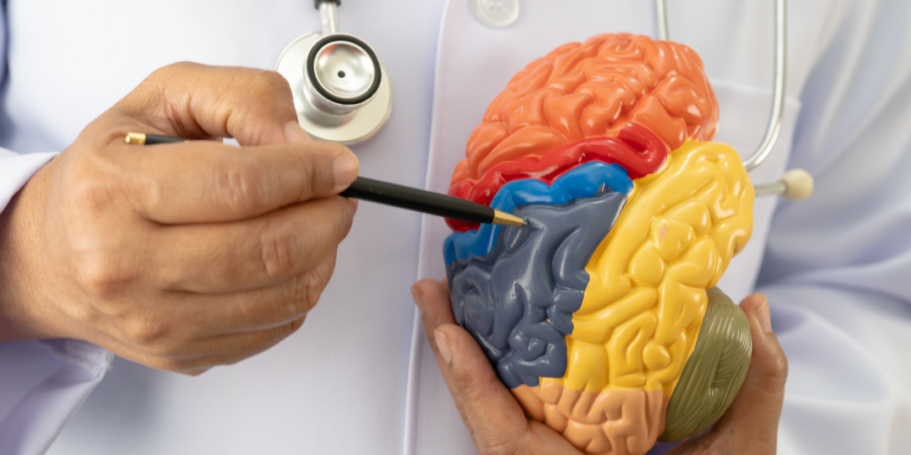 Epilepsy Surgery